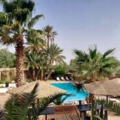 Tranquil oasis pool on a 3 days tour from Marrakech to Fes, palms framing serene waters.