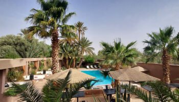 Tranquil oasis pool on a 3 days tour from Marrakech to Fes, palms framing serene waters.