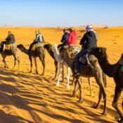 Marrakech Desert Adventure – 3 Days