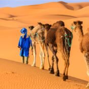 Marrakech to Merzouga 3-Day Tour
