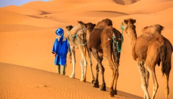 Marrakech to Merzouga 3-Day Tour